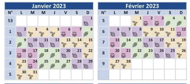 Mondkalender Samen und Pflanzen 2023 Familienrezepte