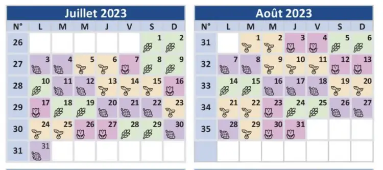 Mondkalender Samen und Pflanzen 2023 Familienrezepte