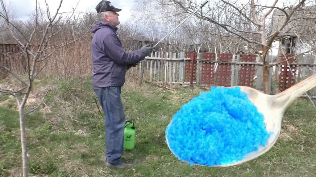 Spring treatment of apple trees against diseases and pests. – Tipsin ...