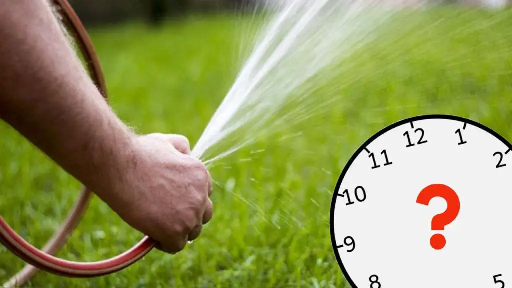 What Time Should You Water Your Lawn in the Summer to Keep It Green and