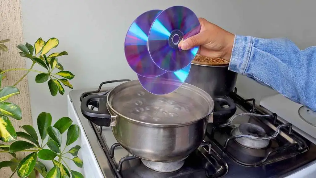 Don’t Throw Away Old CDs: Boil Them for Amazing DIY Projects! – Tipsin ...
